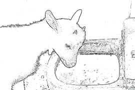 goat Coloring Pages To Print